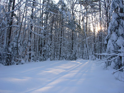 Maine Snow